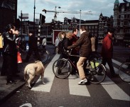 Crossing Amsterdam